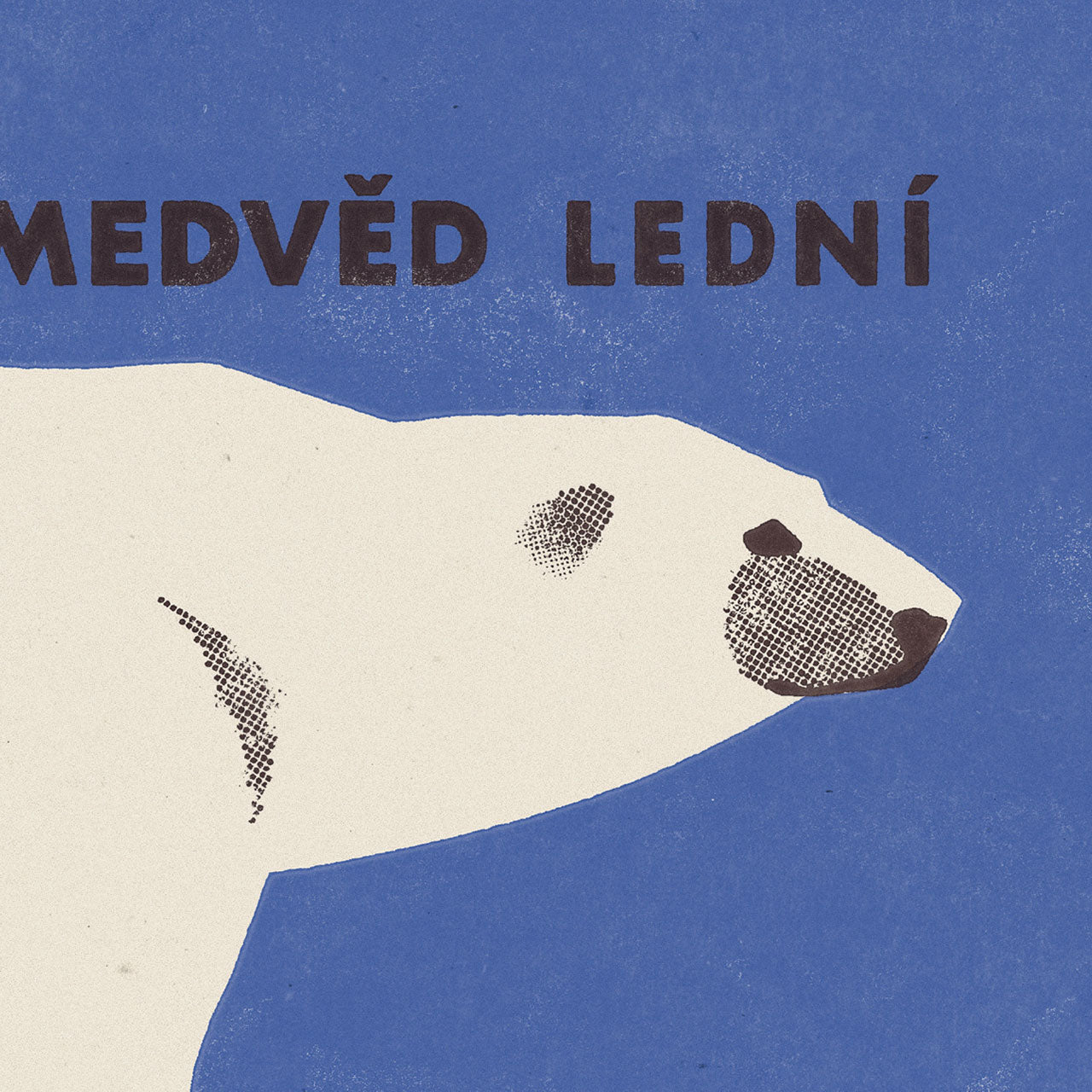 Prague Zoo - Polar Bear - Poster 30x40 cm