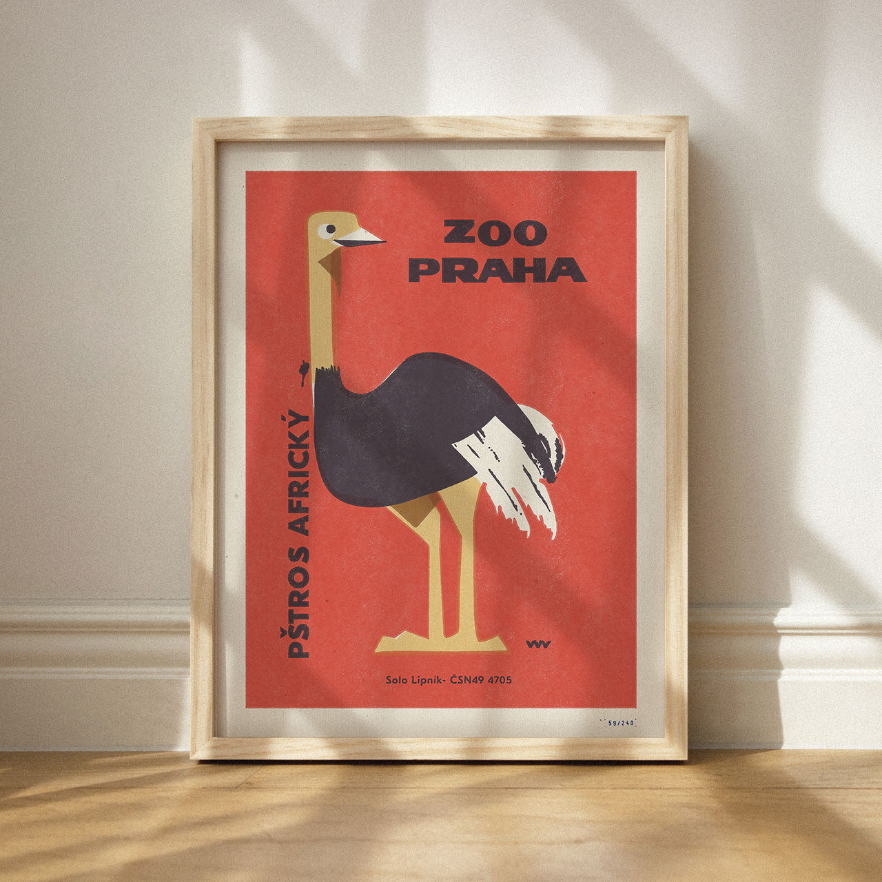 Zoo Praha - Pštros africký - Plakát 30x40 cm