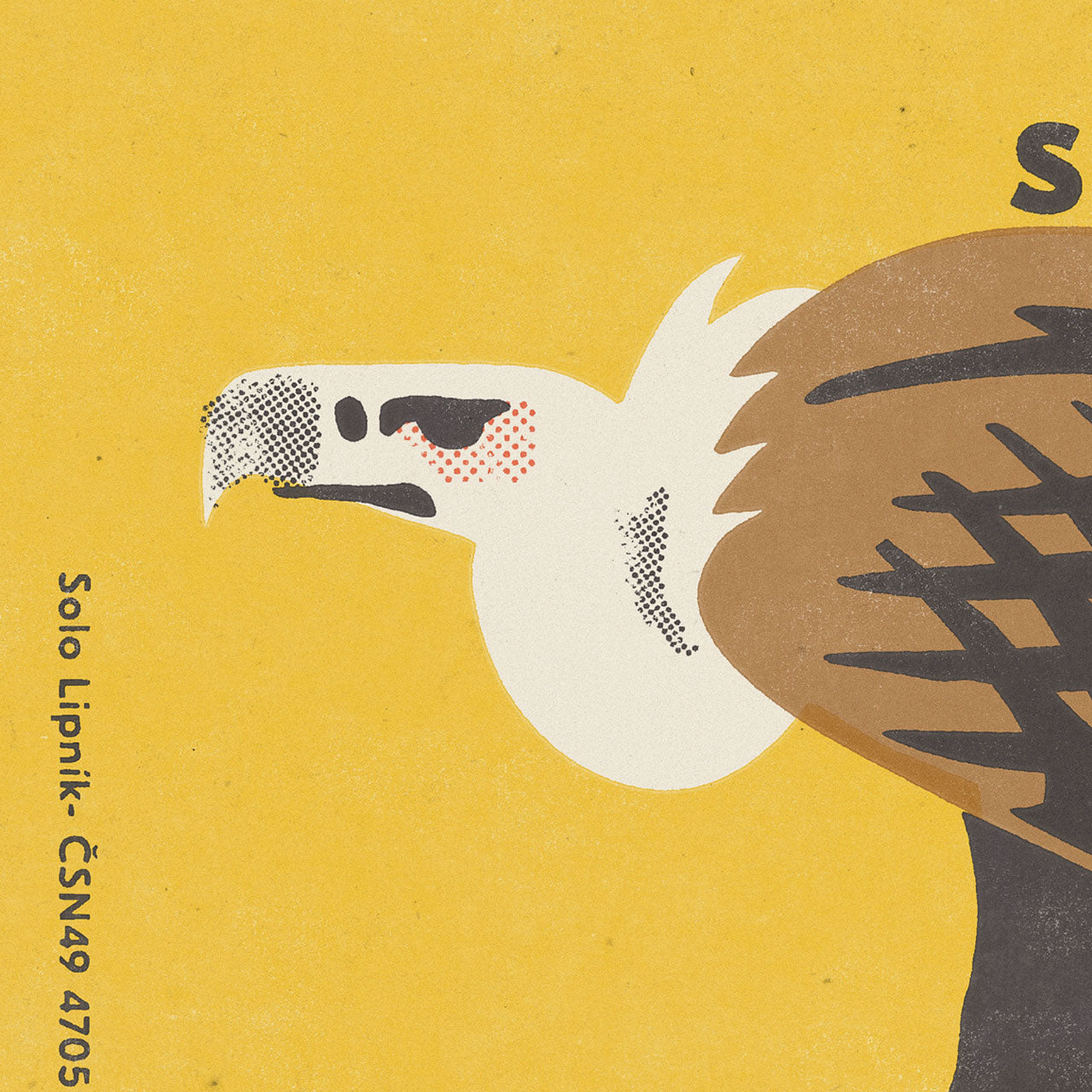 Prague Zoo - Griffon vulture - Poster 30x40 cm