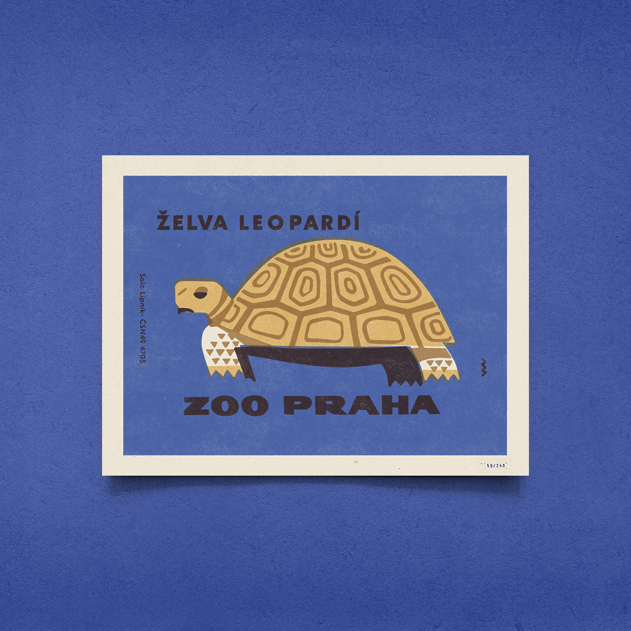 Zoo Praha - Želva leopardí - Plakát 30x40 cm
