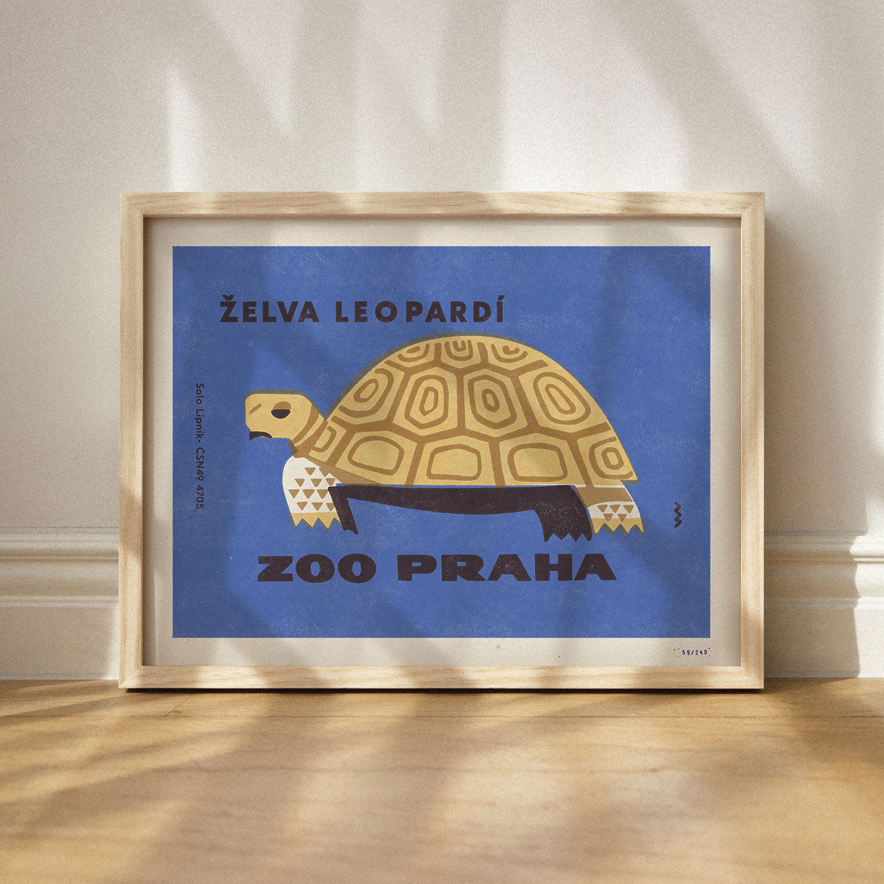 Zoo Praha - Želva leopardí - Plakát 30x40 cm