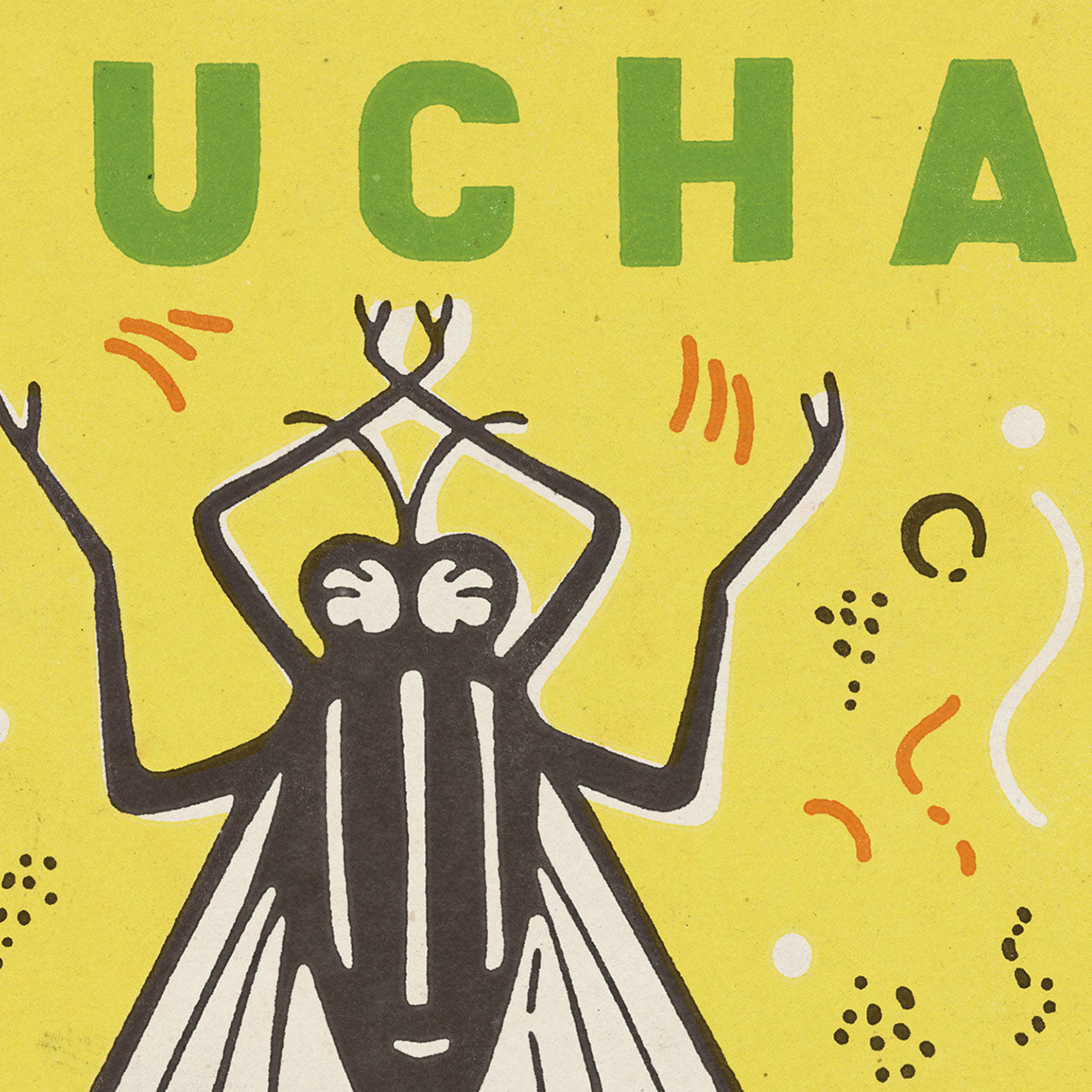 Mucha - prenášač chorôb - Plakát 30x40 cm