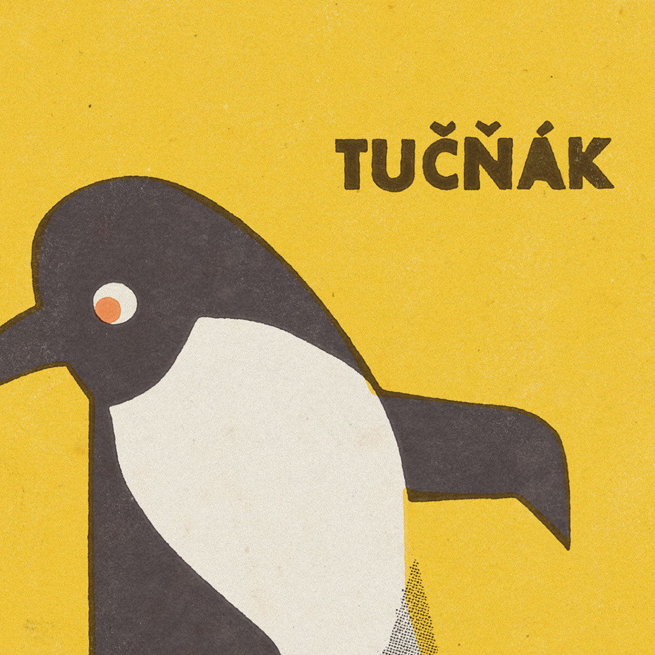 Zoo Praha - Tučňák - Plakát 30x40 cm