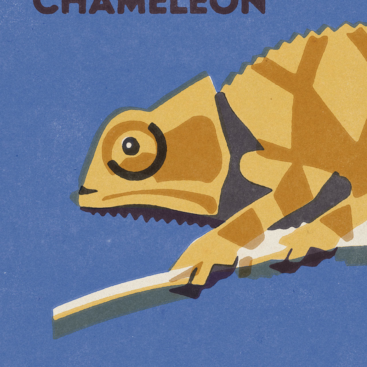 Prague Zoo - Chameleon - Poster 40x30 cm