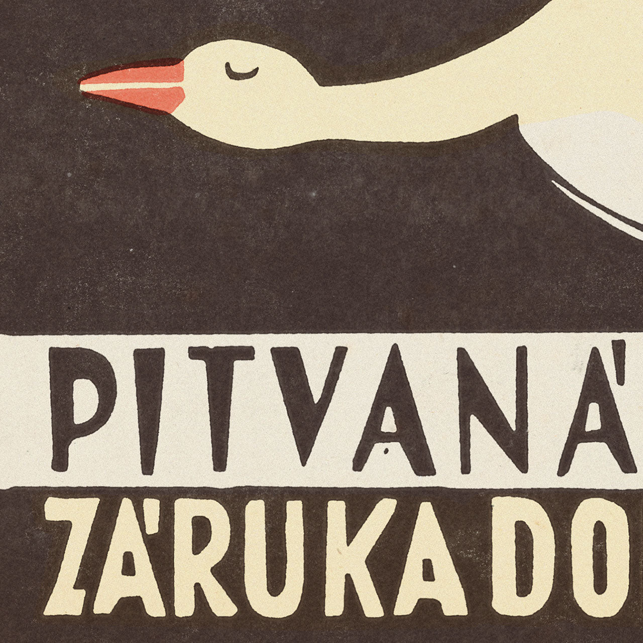 Autopsied poultry - Poster 40x30 cm