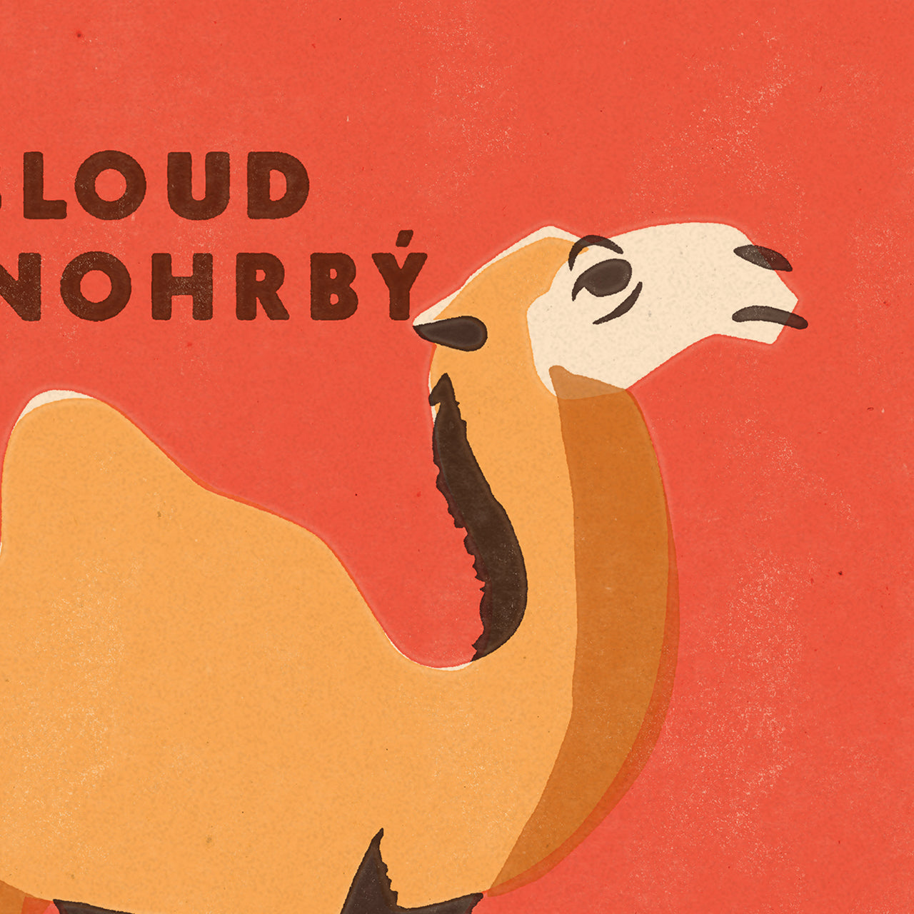 Prague Zoo - Camel - Poster 30x40 cm