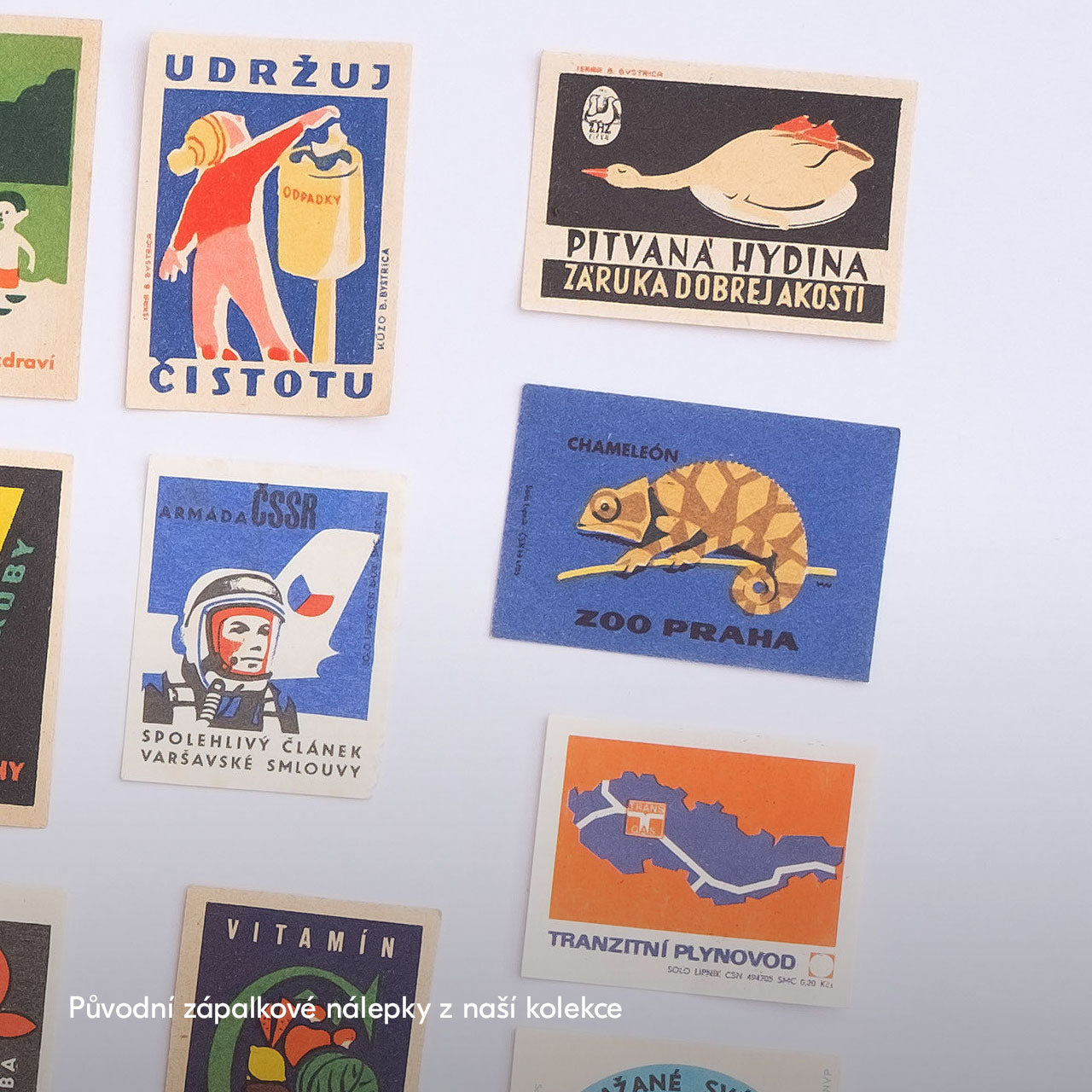 Autopsied poultry - Poster 40x30 cm