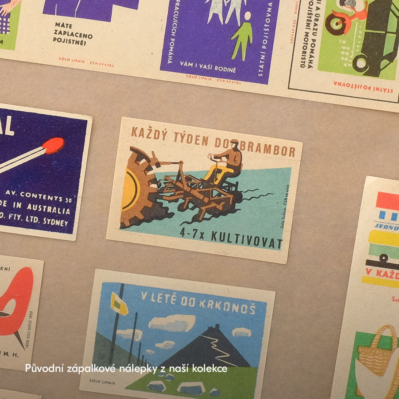 Každý týden do brambor  - Plakát 40x30 cm