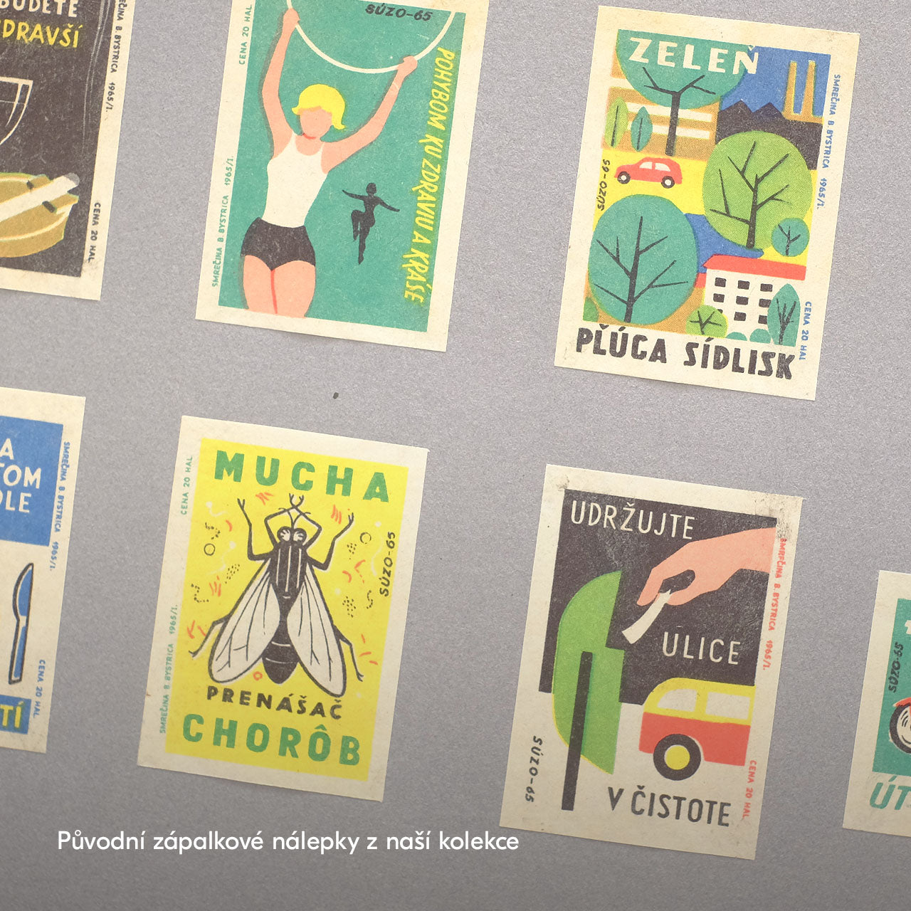 Mucha - prenášač chorôb - Plakát 30x40 cm