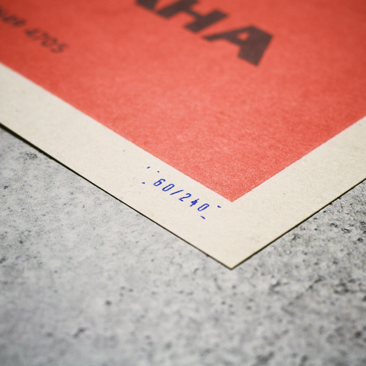 Prague Zoo - Camel - Poster 30x40 cm