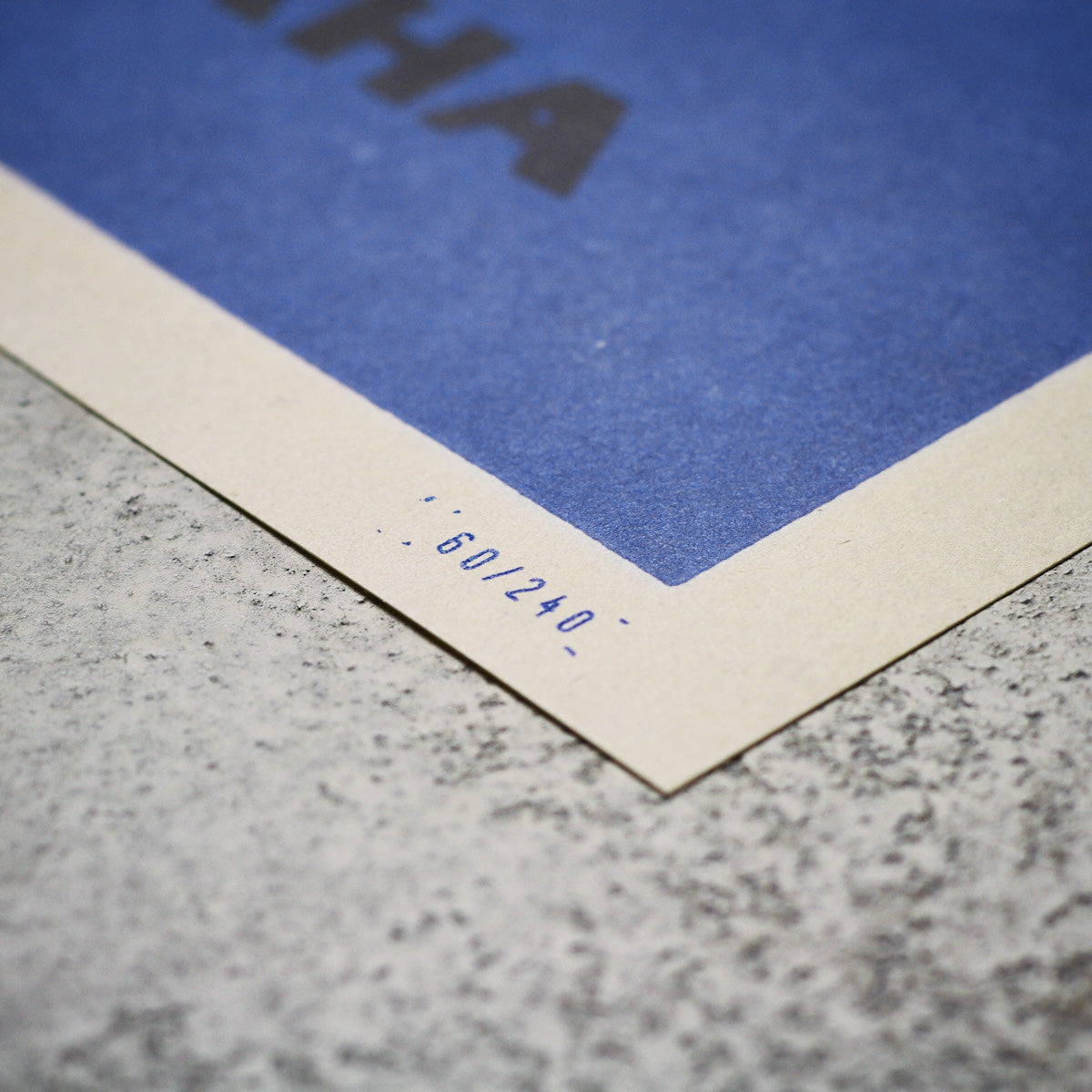 Prague Zoo - Chameleon - Poster 40x30 cm