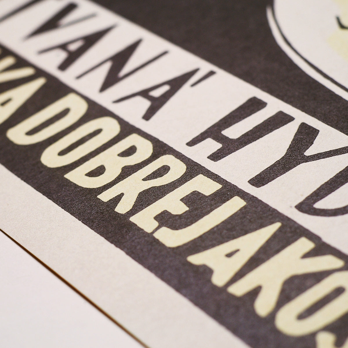 Autopsied poultry - Poster 40x30 cm