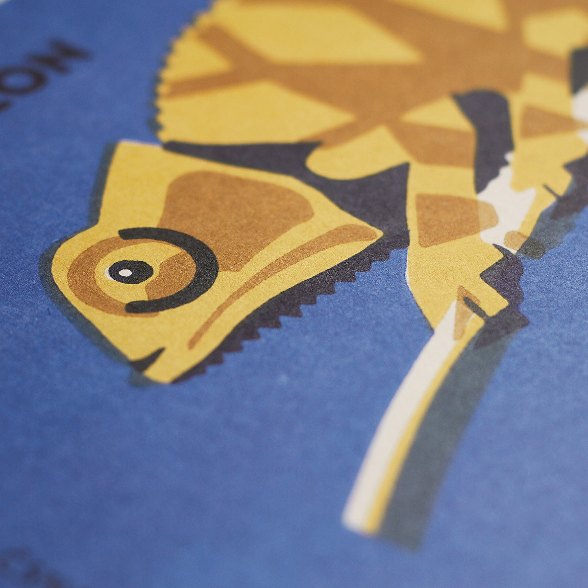 Prague Zoo - Chameleon - Poster 40x30 cm