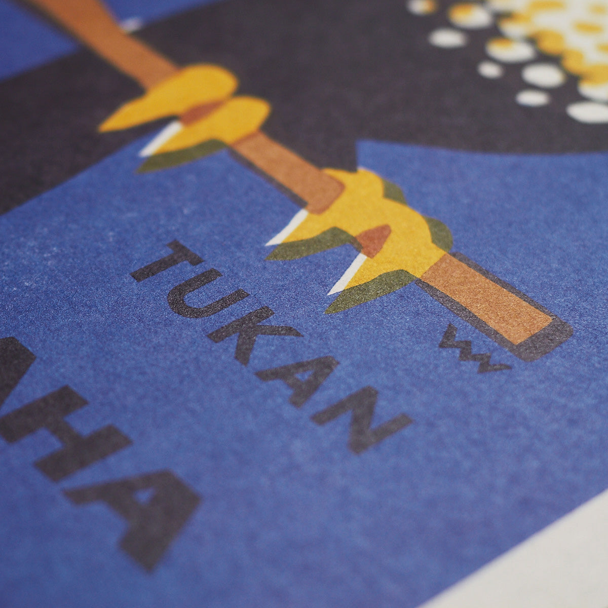 Prague Zoo - Toucan - Poster 30x40 cm