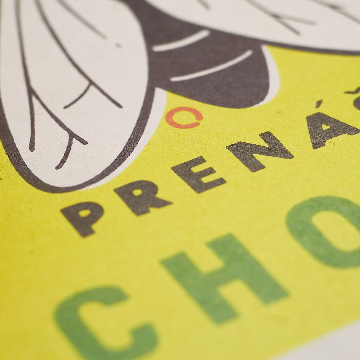 Mucha - prenášač chorôb - Plakát 30x40 cm