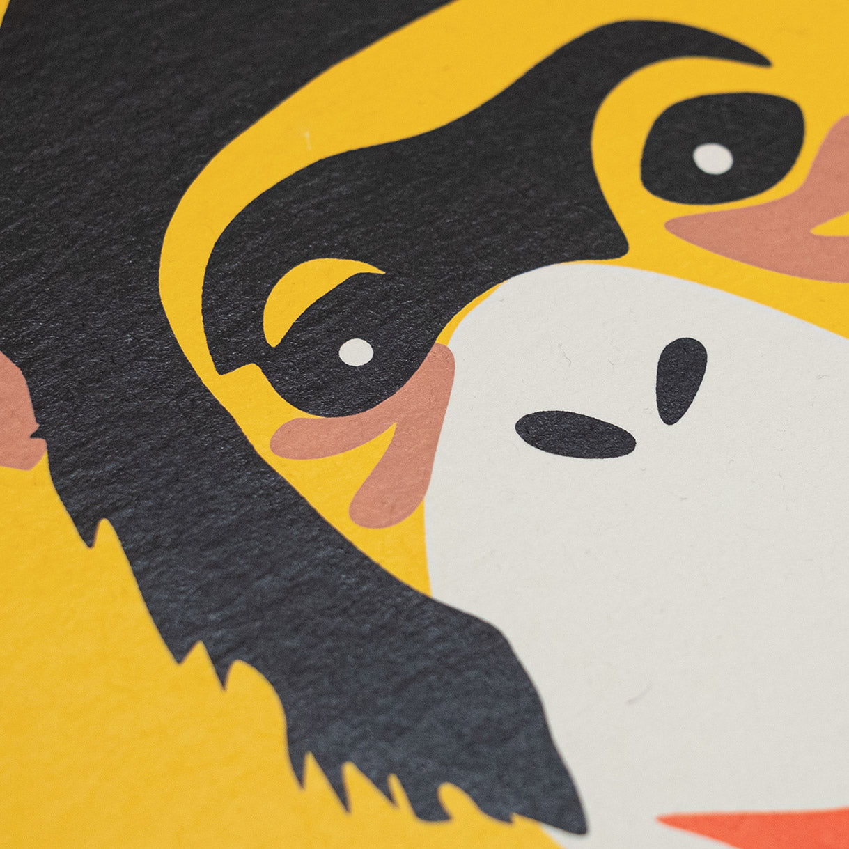 Zoo Praha - Šimpanz - Sítotisk 50x70 cm