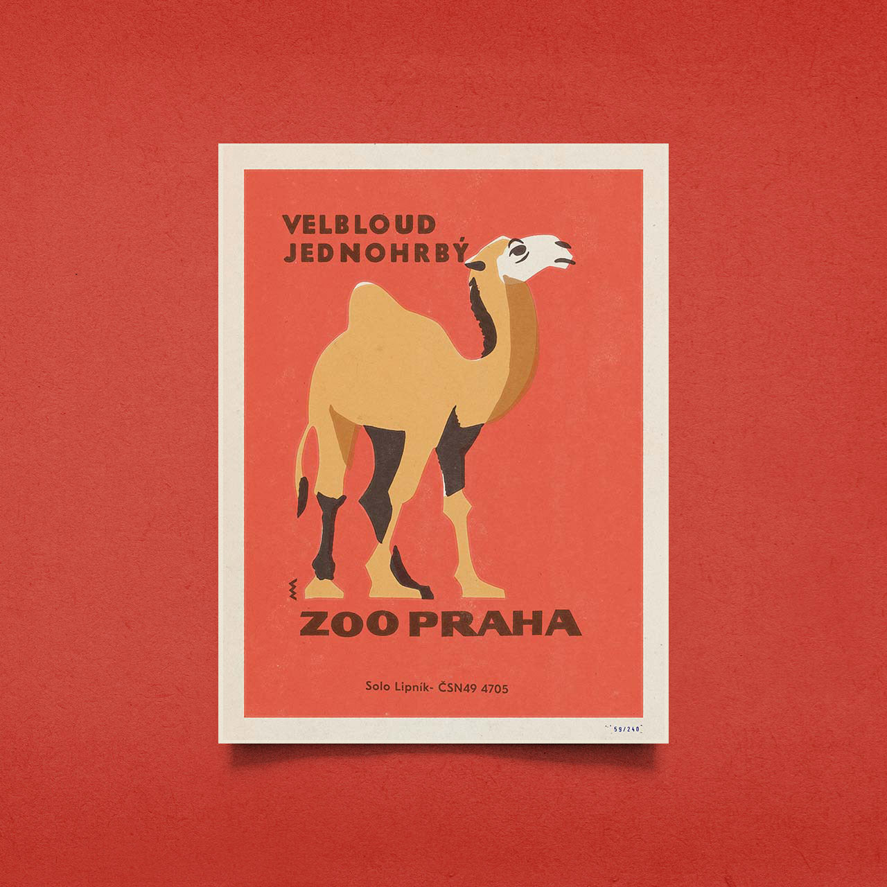 Prager Zoo - Kamel - Poster 30x40 cm 