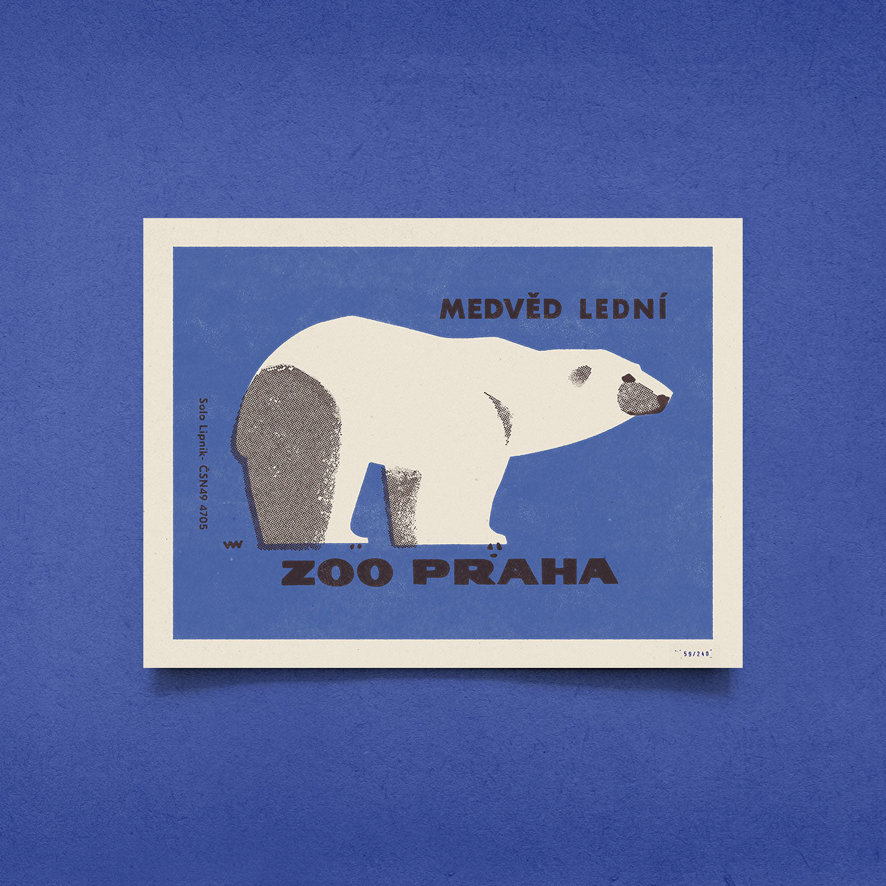 Prague Zoo - Polar Bear - Poster 30x40 cm 