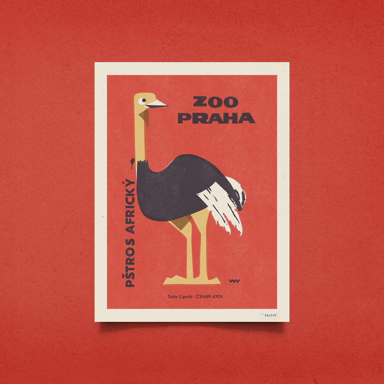 Prague Zoo - African Ostrich - Poster 30x40 cm 