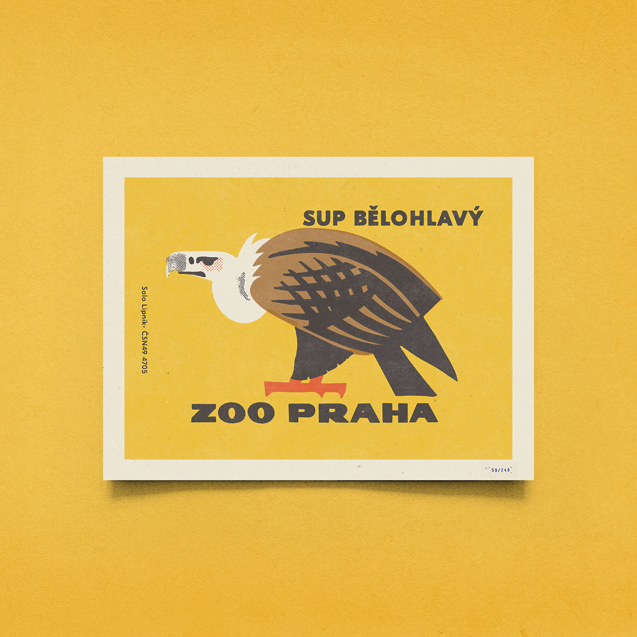 Prager Zoo - Gänsegeier - Poster 30x40 cm 