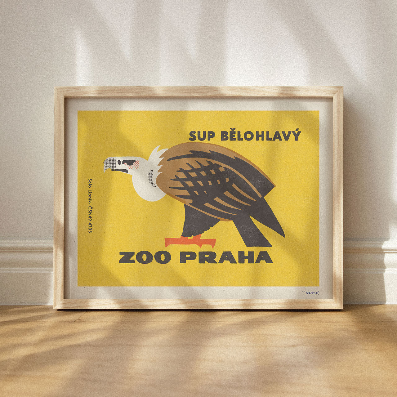 Prague Zoo - Griffon vulture - Poster 30x40 cm 