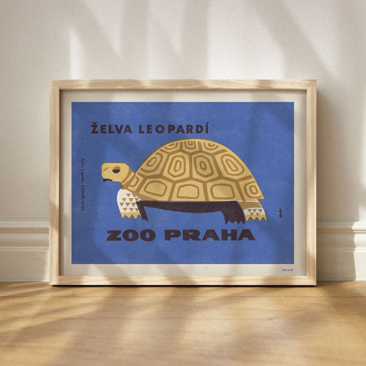 Prague Zoo - Leopard tortoise - Poster 30x40 cm 