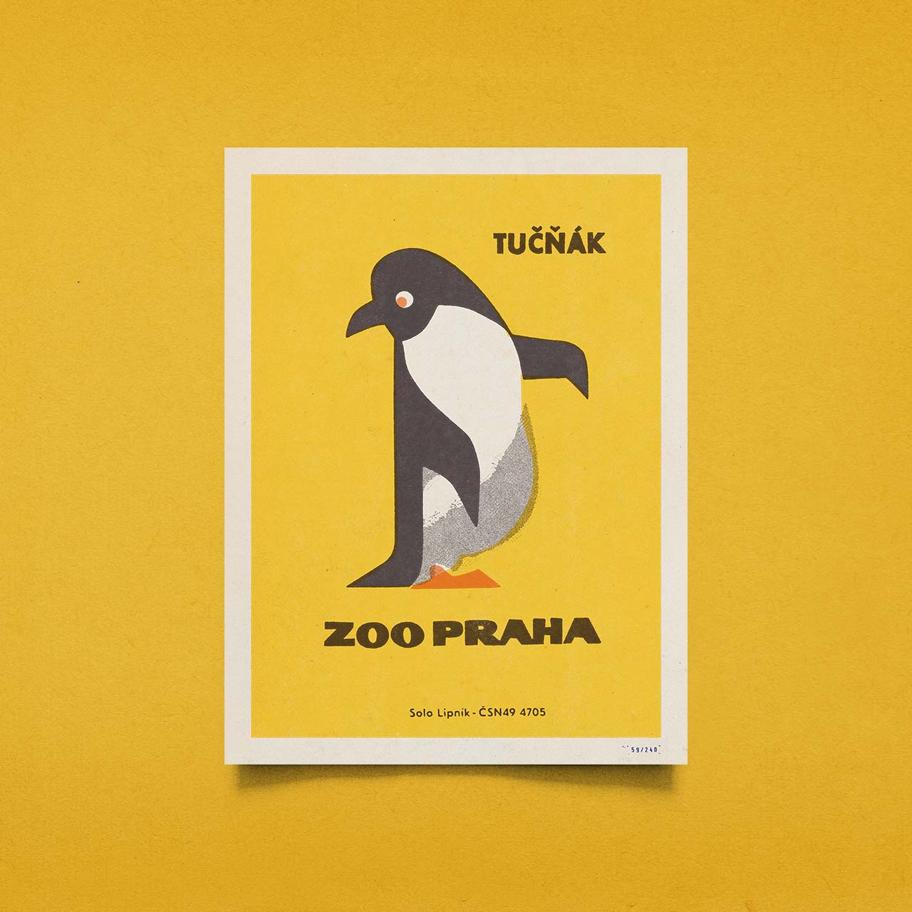 Zoo Praha - Tučňák - Plakát 30x40 cm