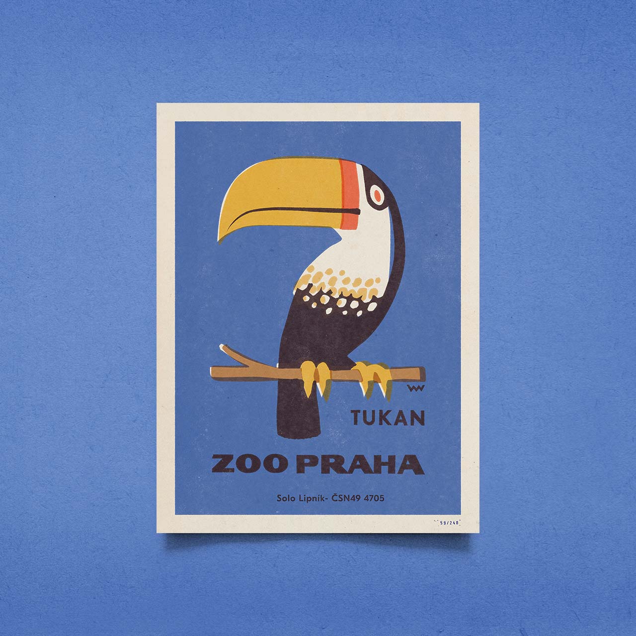 Prague Zoo - Toucan - Poster 30x40 cm 