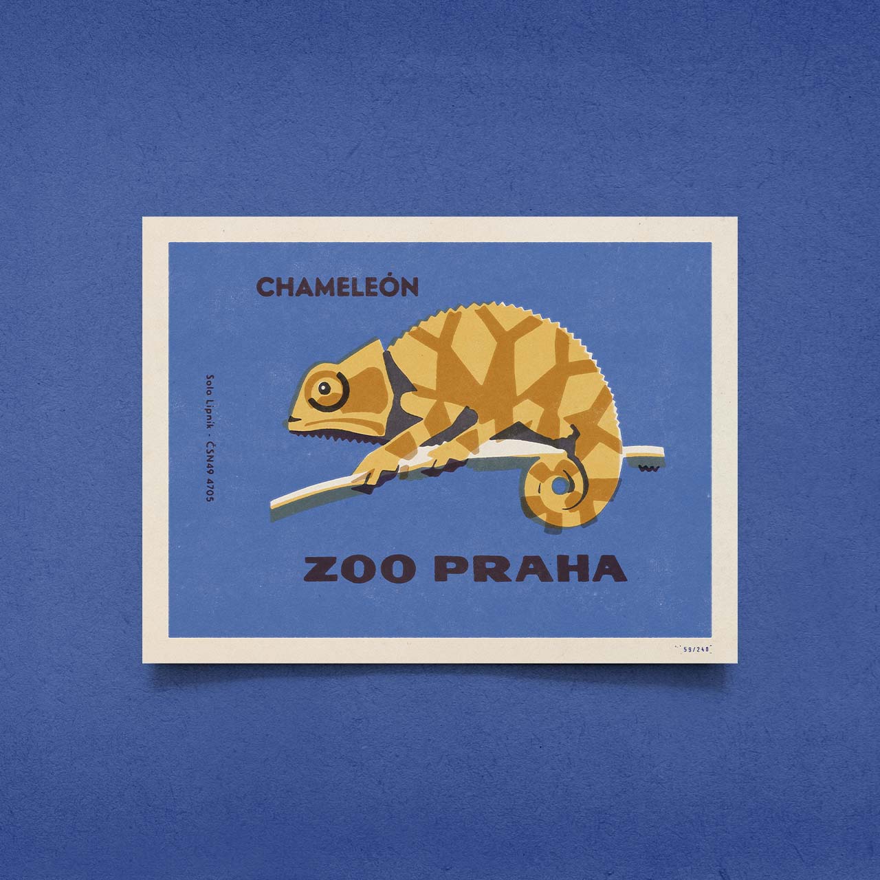 Prague Zoo - Chameleon - Poster 40x30 cm 