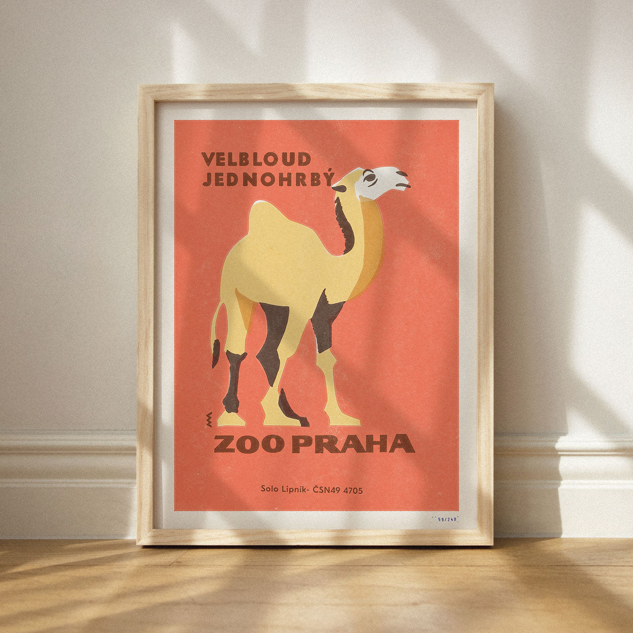 Prager Zoo - Kamel - Poster 30x40 cm 
