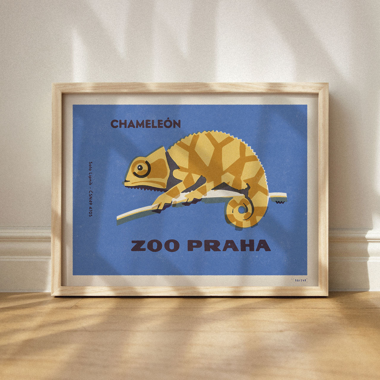 Prague Zoo - Chameleon - Poster 40x30 cm 